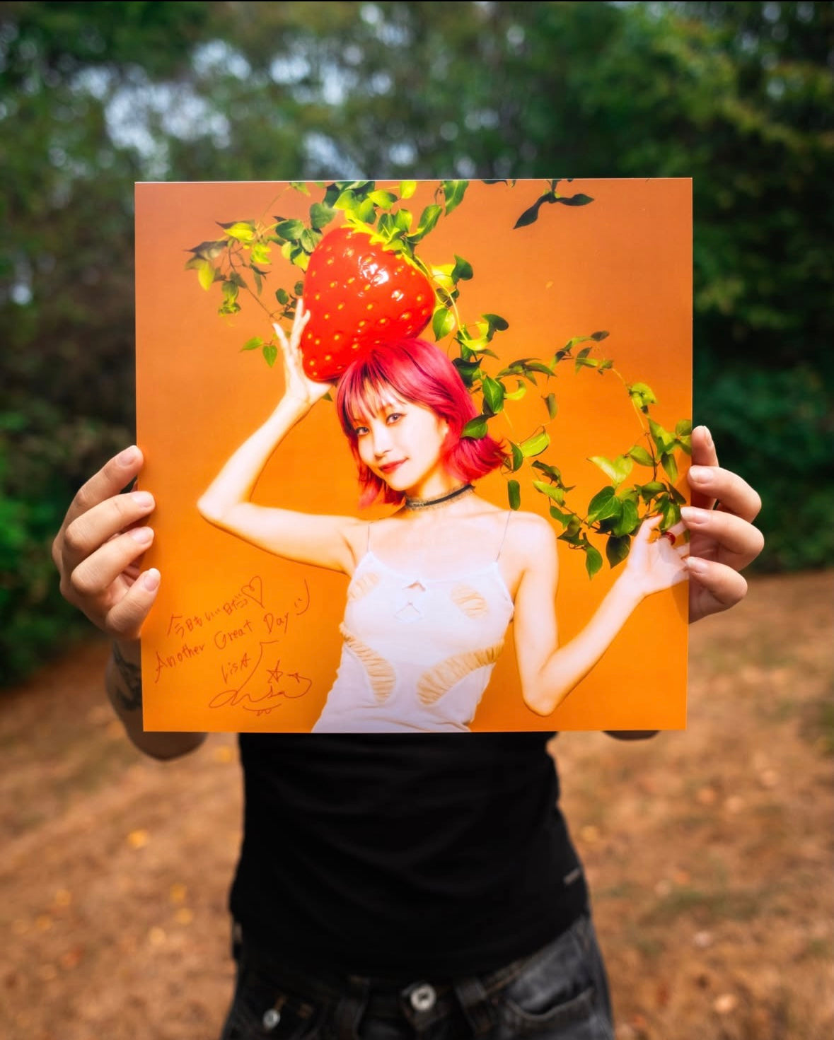 LiSA - 15周年人氣動漫主題曲 LP / 草莓噴濺彩膠