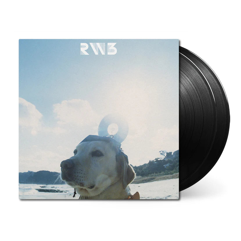 RADWIMPS - RADWIMPS 3 ~無人島に持っていき忘れた一枚~ 2LP / 黑膠