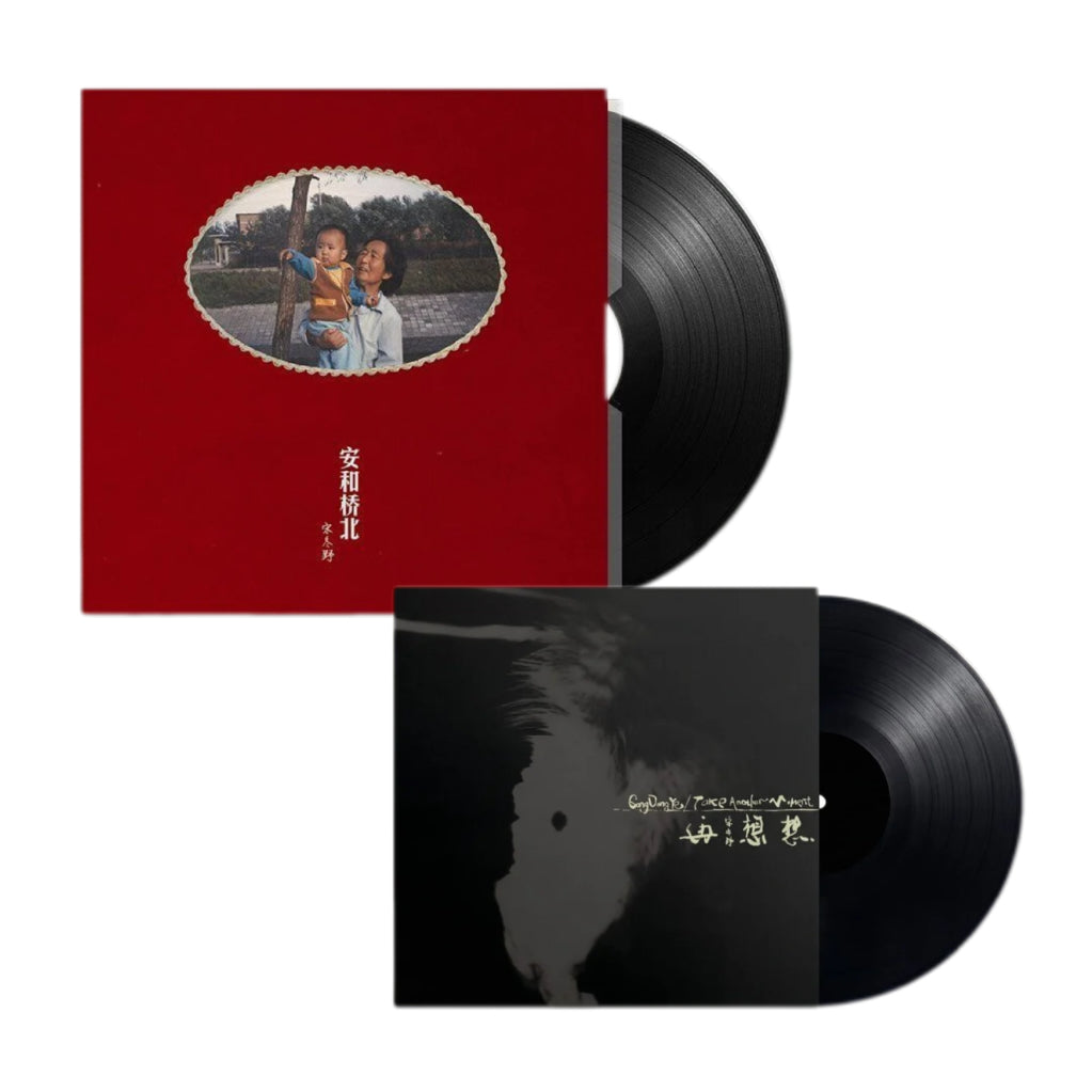 宋東野 - 安和橋北 再想想 2LP / 日版黑膠