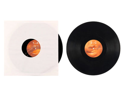 BLONDE - Channel Orange 2LP / 黑膠